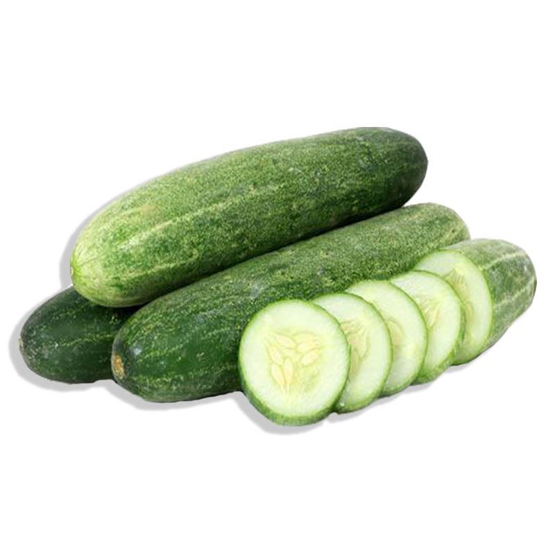 Fresh Cucumber