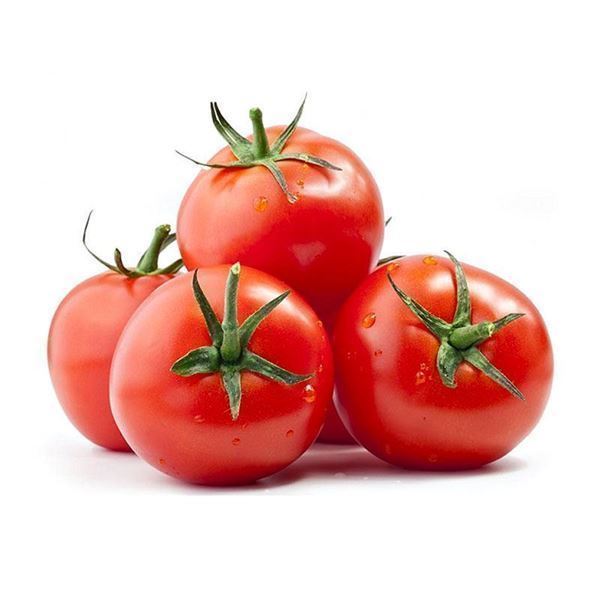 Fresh Tomato