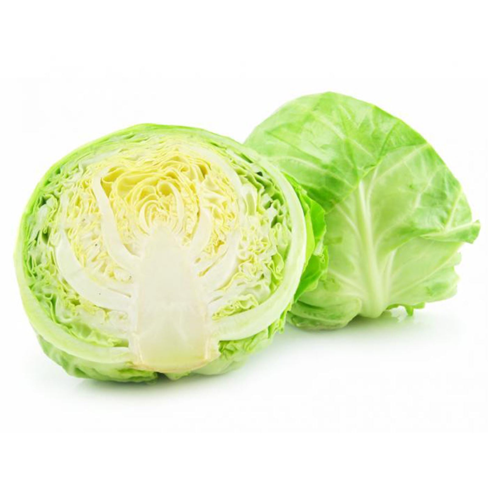 Fresh Cabbage