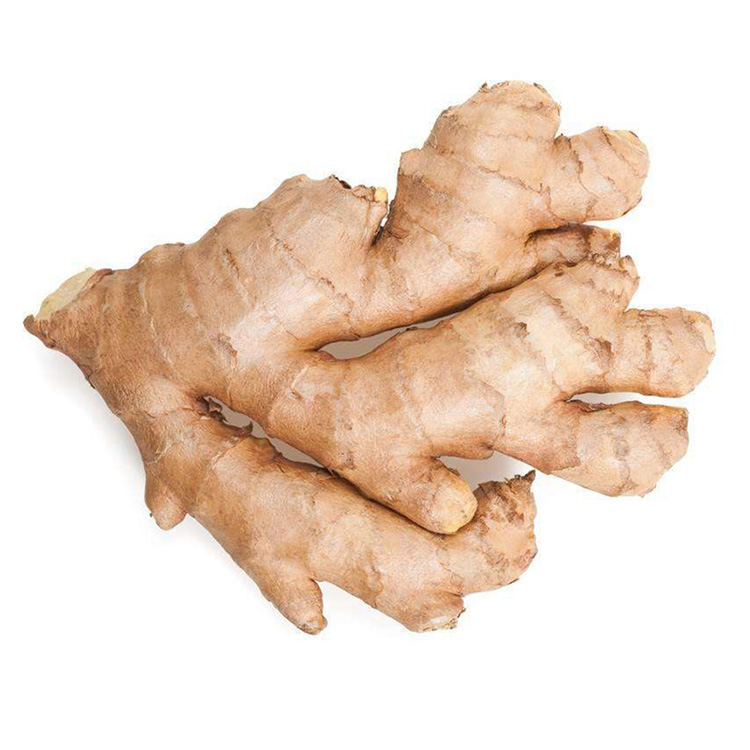 Fresh Ginger (Thailand)