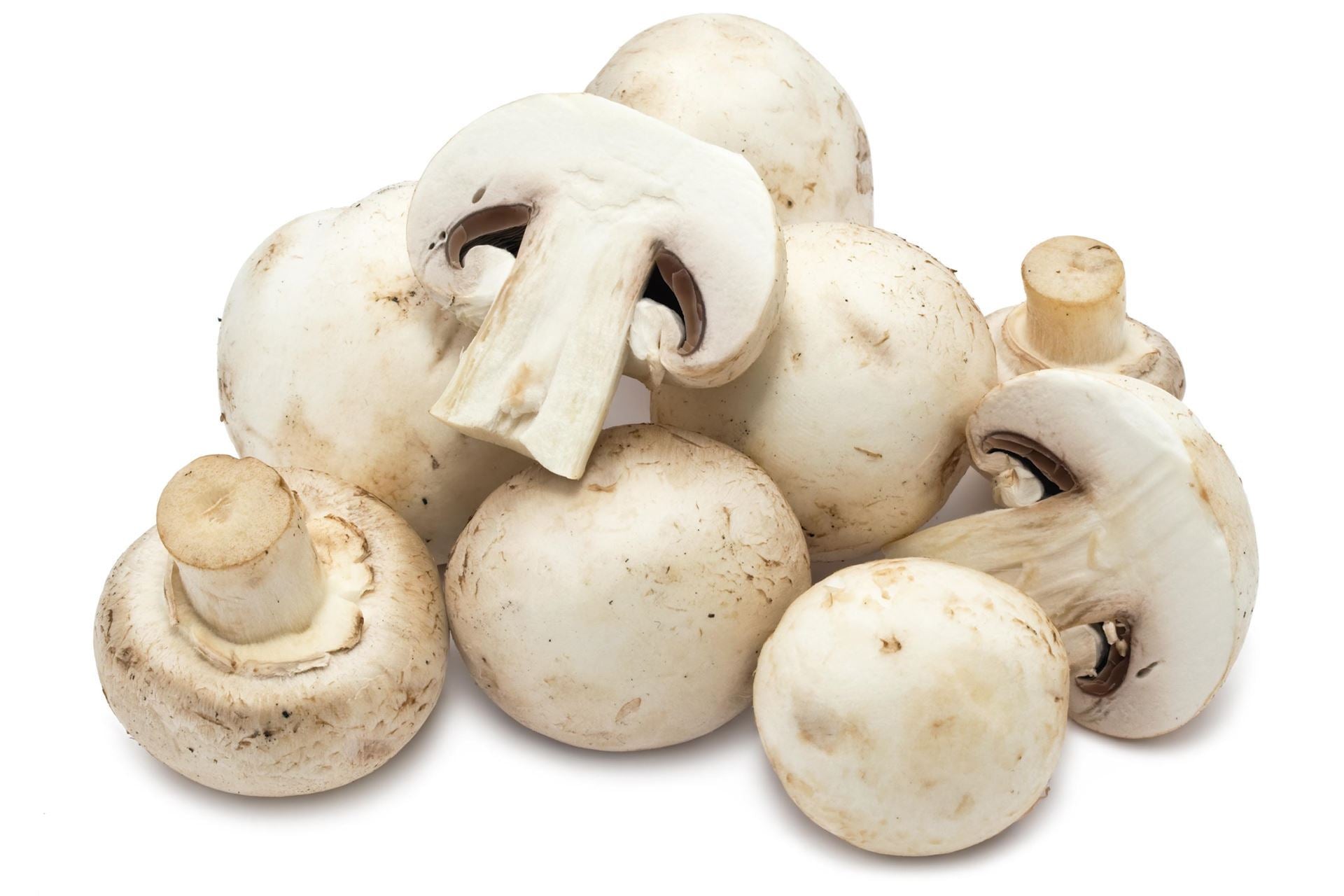 Fresh White Button Mushroom