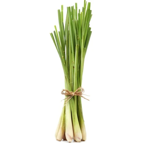 Fresh Lemon Grass